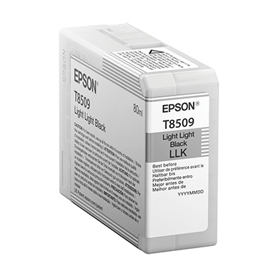 Epson C13T850900 Light Light Black T850900 Ink Cartridge (80ml)